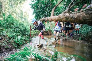 BIB: 
                            <button type="button" onclick="openModal(25514810)" class="btn btn-primary btn-sm float-right btn-popup" data-toggle="modal" data-target=".modal-high-quality">
                        <i class="fas fa-shopping-cart"></i> Add to Cart
                    </button>
                                            <button type="button" onclick="isThisMe(25514810, true)" class="btn btn-success btn-sm float-right btn-popup btn-isme hidden" data-toggle="tooltip" data-placement="bottom" title="นี่คือรูปของคุณใช่ไหม คลิกที่นี่เพื่อเอาเข้าอัลบั้ม">
                        <i class="fas fa-plus"></i> Add to album
                    </button>
                    <button type="button" onclick="isThisMe(25514810, false)" class="btn btn-warning btn-sm float-right btn-popup btn-isnotme hidden">
                        <i class="fas fa-ban"></i> Remove from album
                    </button>